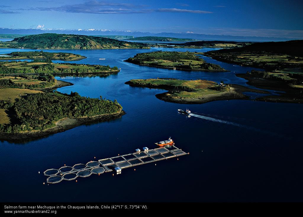 Salmon farm Chile.